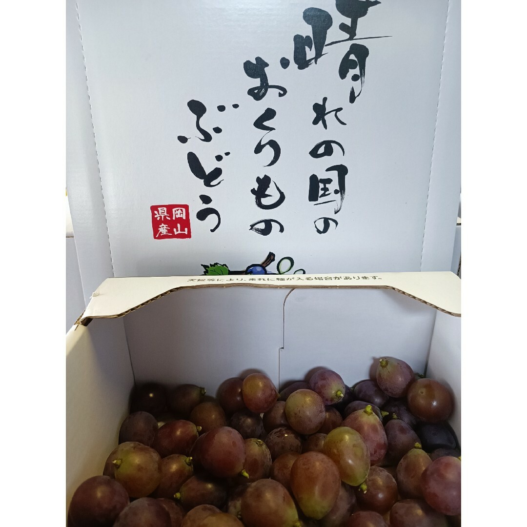 岡山県産 紫玉 (1kg粒) 食品/飲料/酒の食品(フルーツ)の商品写真