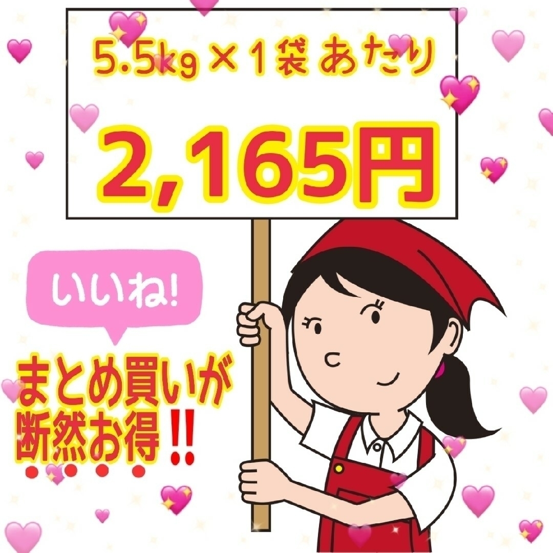 ★生活応援10%(2kg)増量★あきたこまちブレンド白米合計(22kg)送料込み