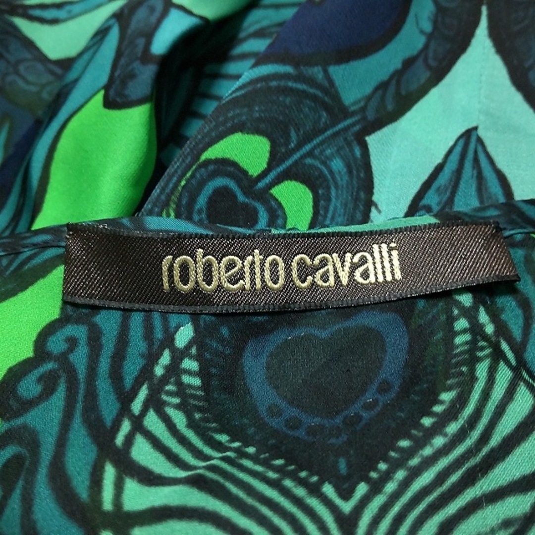 Roberto Cavalli(ロベルトカヴァリ)のロベルトカヴァリ 長袖カットソー 42 L - レディースのトップス(カットソー(長袖/七分))の商品写真