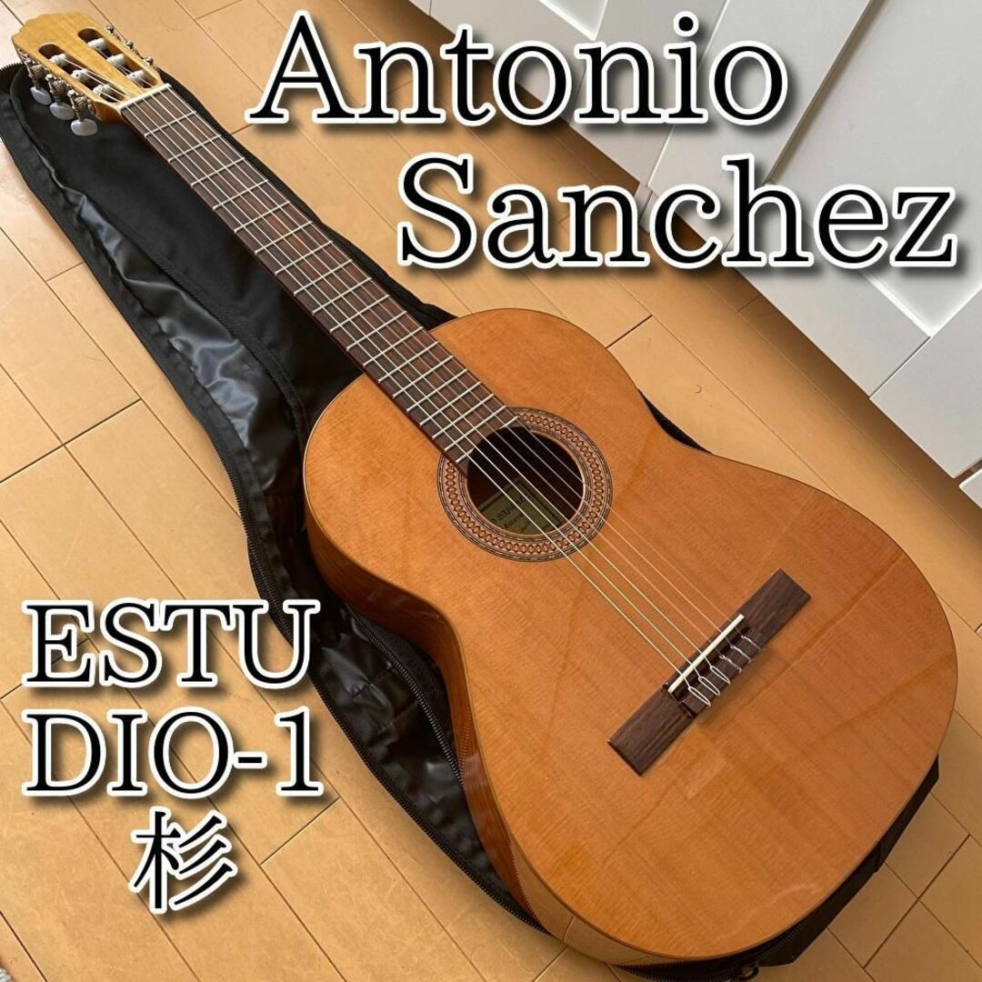 美品 Antonio Sanchez アントニオサンチェス ESTUDIO-1杉