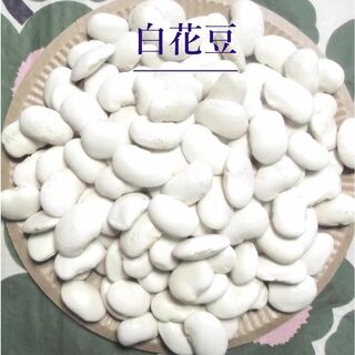 白花豆　2022年産 北海道北見産　800g(野菜)