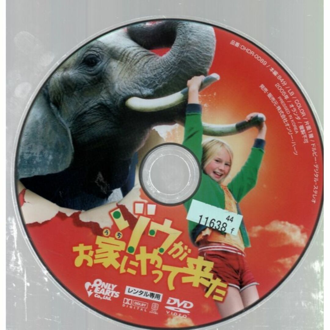 rd04727　ゾウがお家にやって来た　DVD 2