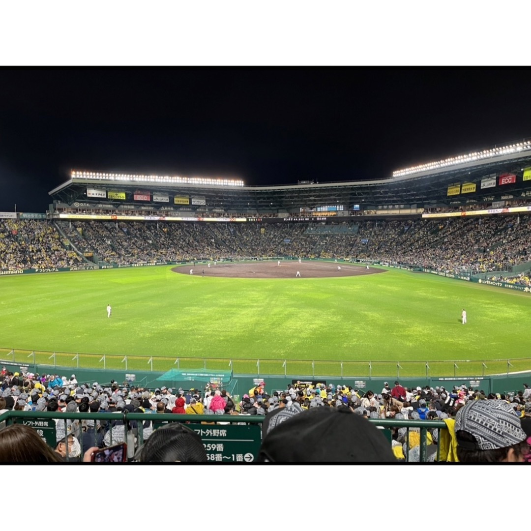 8/29(火) 阪神vsDeNA レフト外野指定席 上段通路側2席 チケットのスポーツ(野球)の商品写真