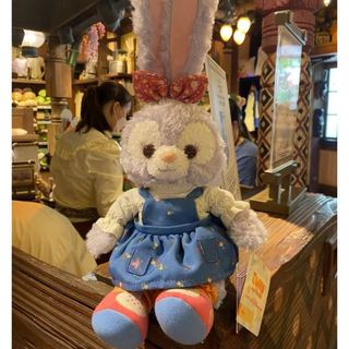 写真子発送　香港ディズニー　秋日　リーナベルssぬいぐるみ