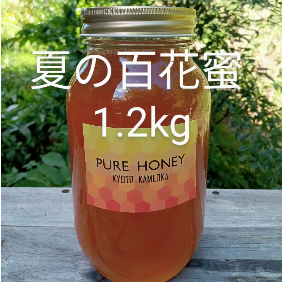 国産　純粋　蜂蜜　生はちみつ　1.2kg　8月　京都産 食品/飲料/酒の食品/飲料/酒 その他(その他)の商品写真