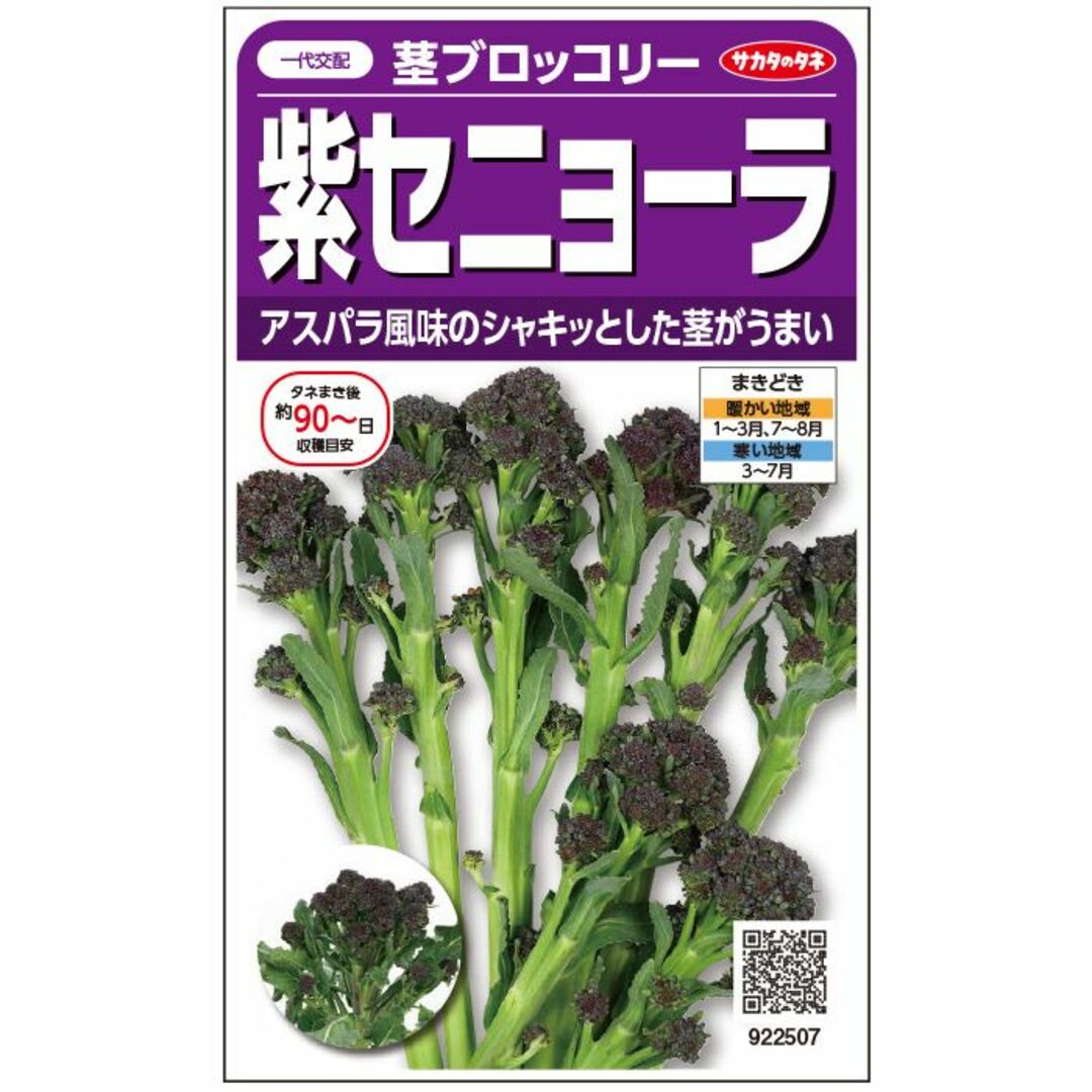 紫セニョーラ　スティックブロッコリの通販　茎ブロッコリー　＜野菜の種＞２０粒　びびび's　shop｜ラクマ　未開封　by