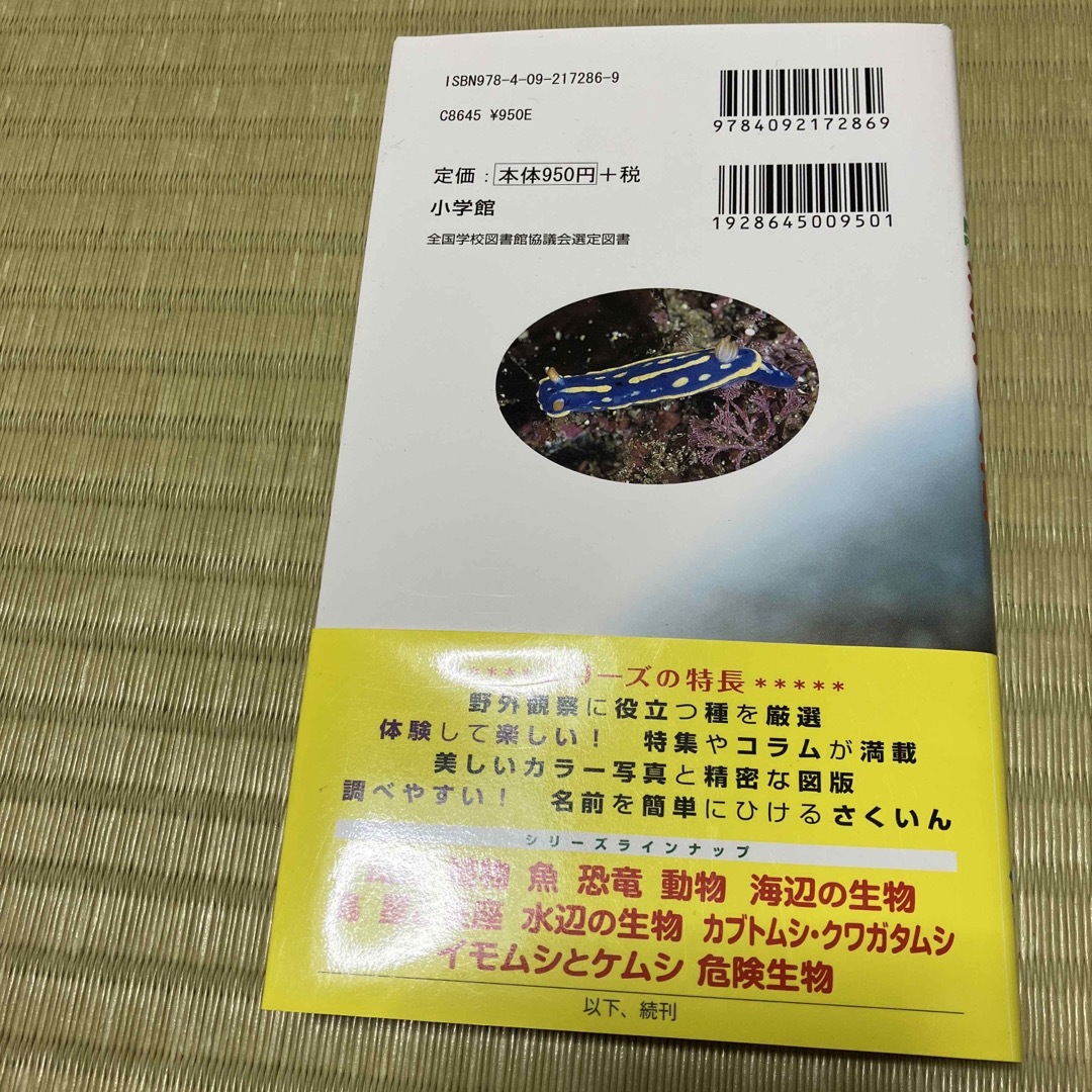 海辺の生物 エンタメ/ホビーの本(絵本/児童書)の商品写真