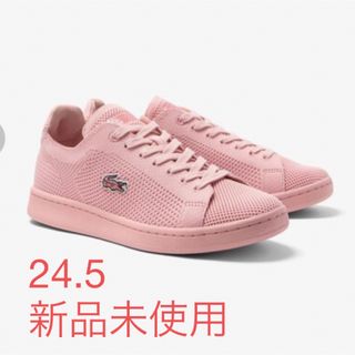 ラコステ(LACOSTE)のLACOSTE CARNABY PIQUEE 123 1 SFA ピンク(スニーカー)