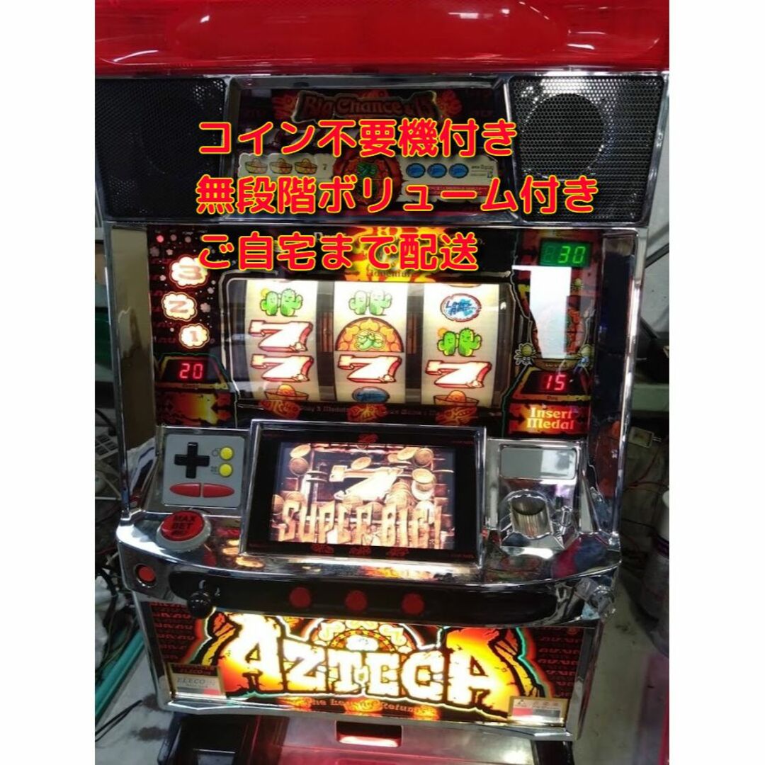 エンタメ/ホビーアステカリターンズ　実機