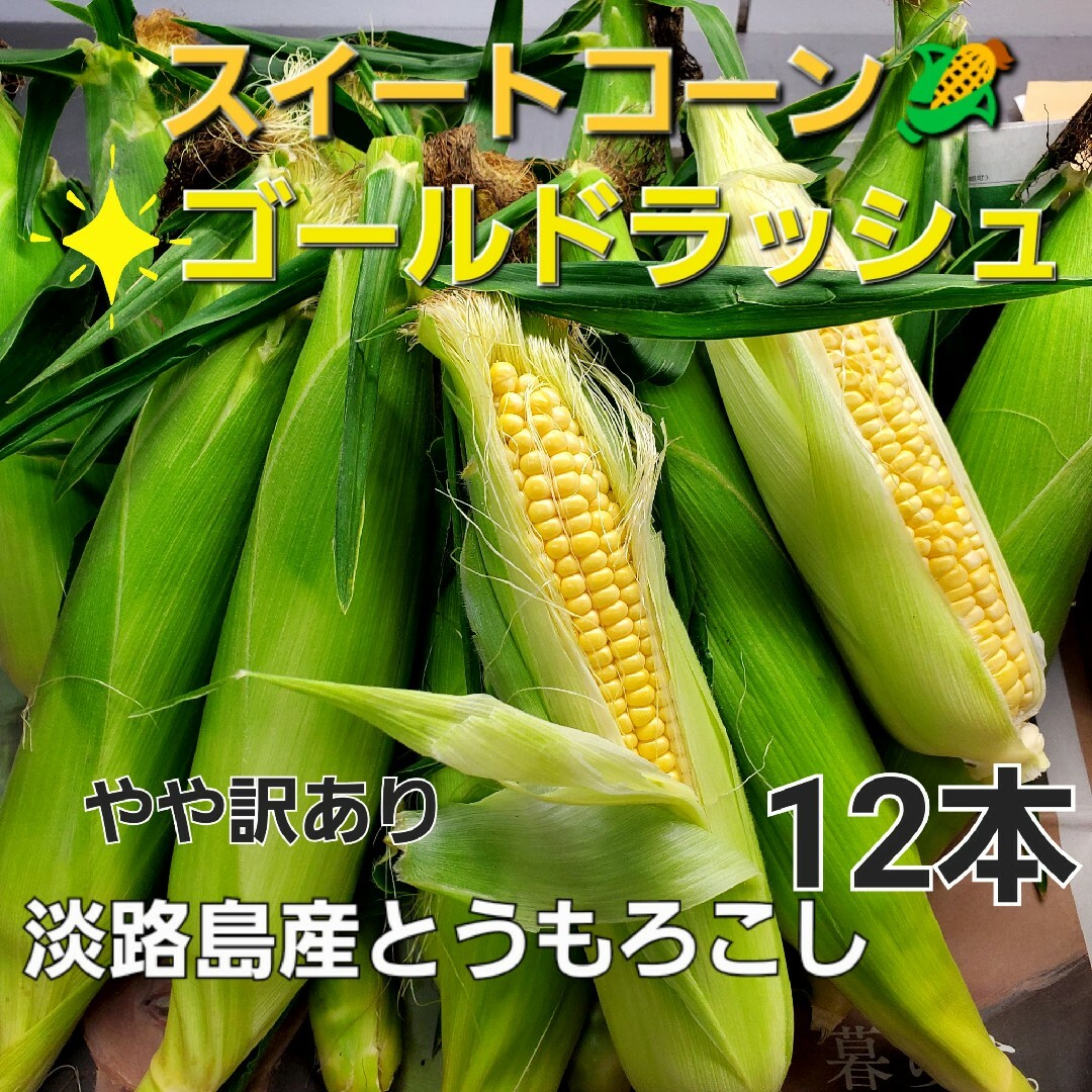 淡路島産とうもろこし🌽(訳あり)ゴールドラッシュ12本 食品/飲料/酒の食品(野菜)の商品写真