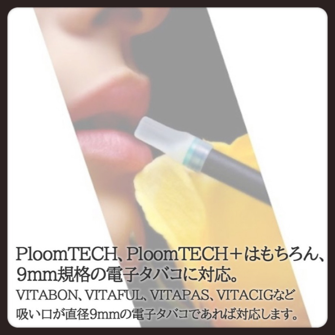 PloomTECH - プルームテックプラスwith VAPE マウスピース2色10個 ...