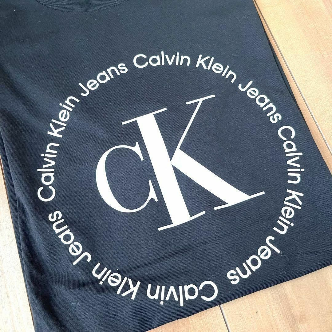 Calvin Klein(カルバンクライン)のカルバンクライン　新品　Tシャツ　正規品　ビッグロゴ　CK メンズのトップス(Tシャツ/カットソー(半袖/袖なし))の商品写真