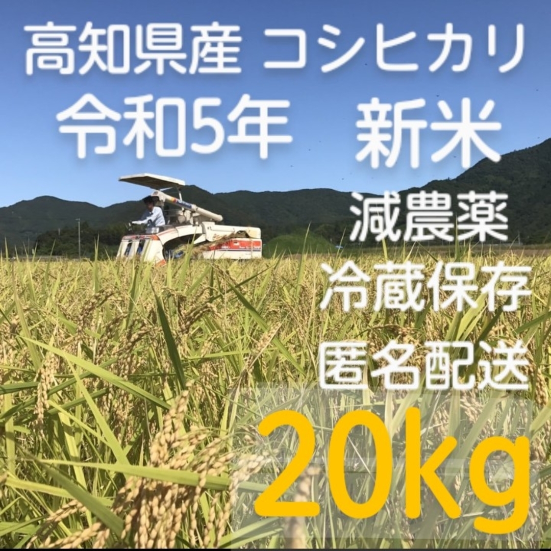 米/穀物《20kg》令和5年新米 高知県産　コシヒカリ