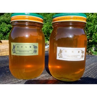 令和5年新蜜！【非加熱・純粋蜂蜜】みかん蜜&百花蜜600g食べ比べセット(菓子/デザート)