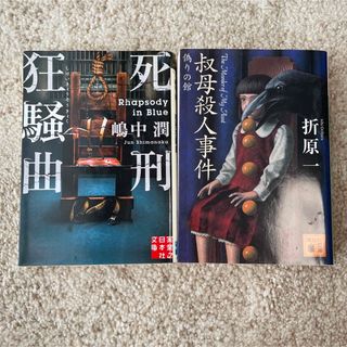 死刑狂騒曲　叔母殺人事件(文学/小説)