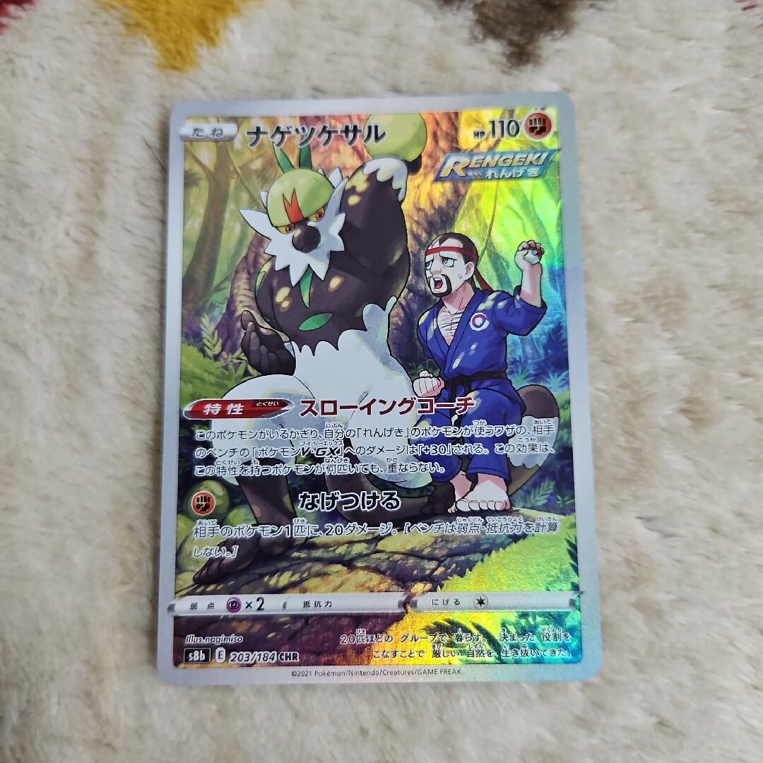 PSA10 ナゲツケサル CHR