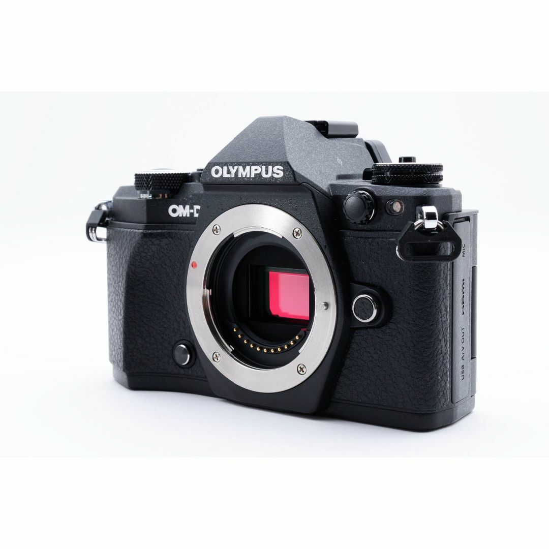 OLYMPUS - OLYMPUS OM-D E-M5 Mark II ボディ フラッシュ・取説付の