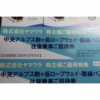 駒ヶ岳ロープウェイ・路線バス 往復乗車ご招待券２枚セット(その他)