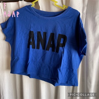 アナップ(ANAP)のANAP 半袖 ショート丈 Tシャツ F(Tシャツ(半袖/袖なし))