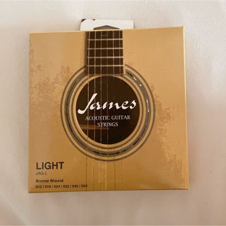 James☆ジェームス！J300D！島村楽器！現行モデル【弾き易く調整☆新品弦】