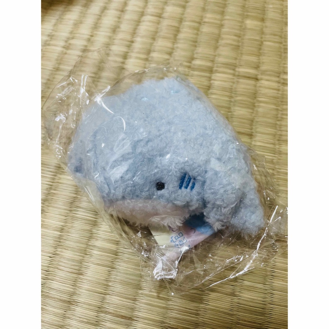 つぶらな瞳の水族館　mokomoko エンタメ/ホビーのおもちゃ/ぬいぐるみ(キャラクターグッズ)の商品写真