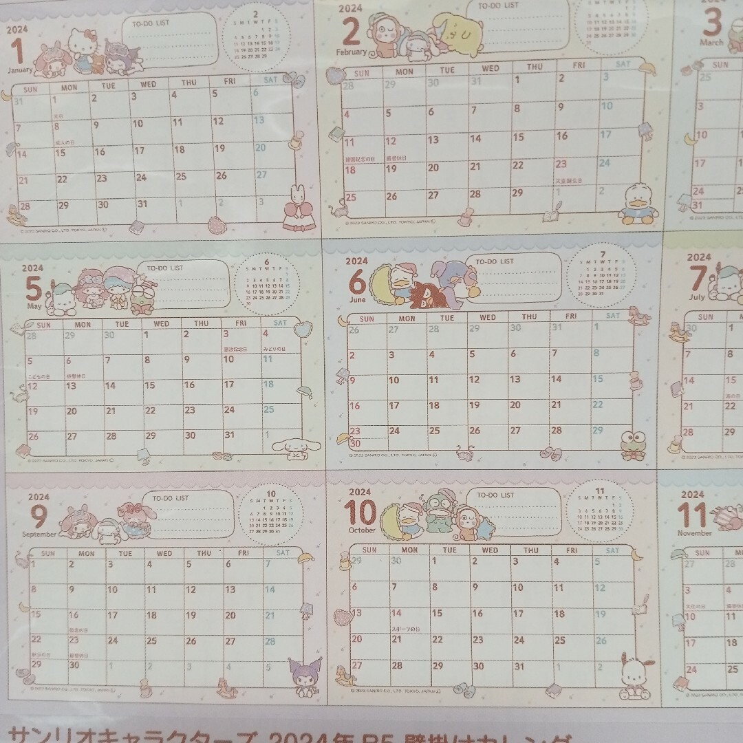 サンリオ サンリオキャラクターズ 壁掛けカレンダー 2024年 ファスナーケースの通販 by め's shop｜サンリオならラクマ