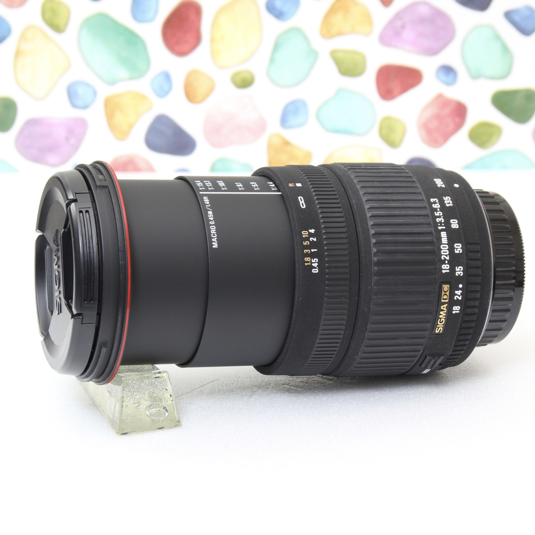 ♥︎広角から望遠までこなせます♪ ◇SIGMA 18-200mm キャノン用