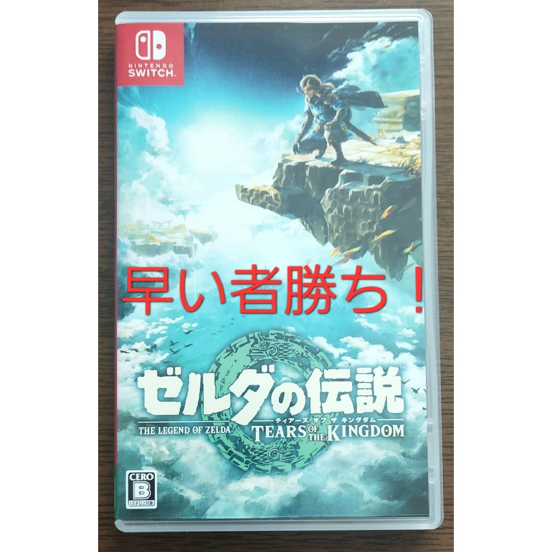 ゼルダの伝説　ティアーズ オブ ザ キングダム Switch