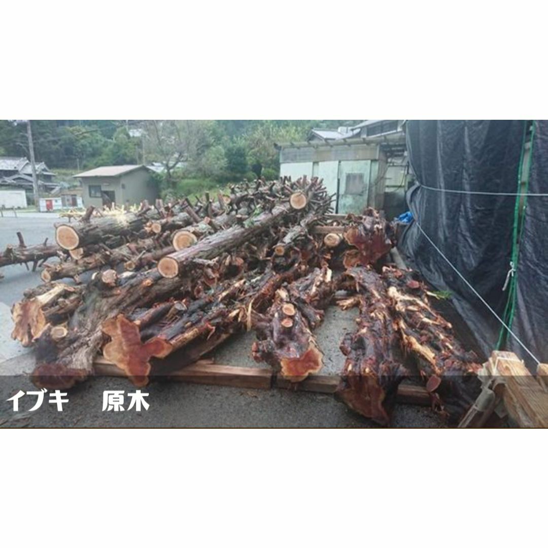 貝塚伊吹 輪切 860-A2 イブキ レジンテーブル 時計盤 看板