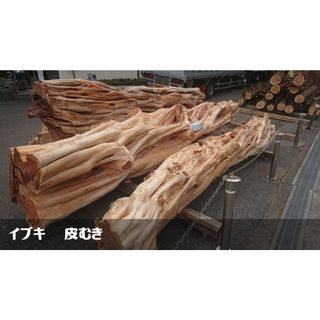 貝塚伊吹 輪切 860-A2 イブキ レジンテーブル 時計盤 看板