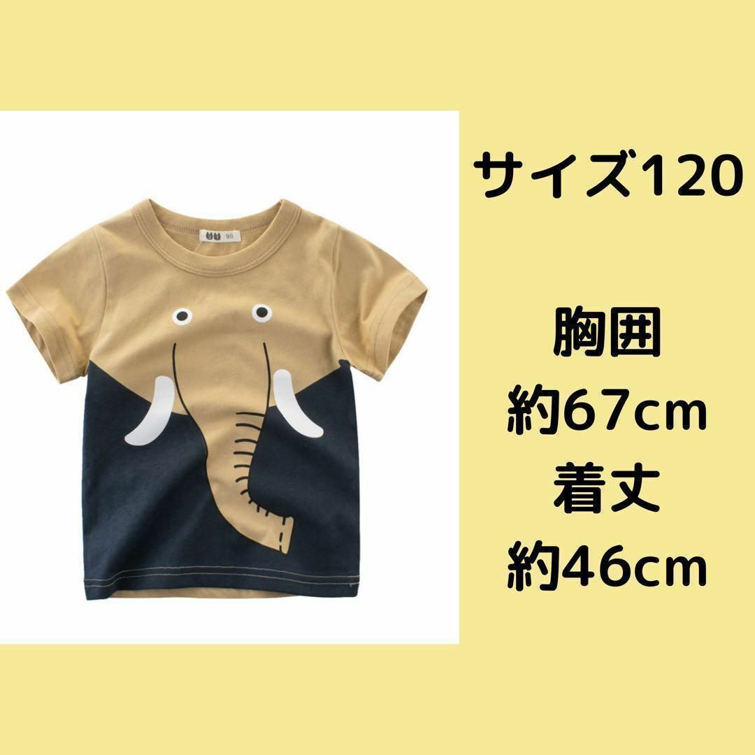 新品 ゾウさんTシャツ 120センチ キッズ アニマル カットソー 綿100% キッズ/ベビー/マタニティのキッズ服男の子用(90cm~)(Tシャツ/カットソー)の商品写真