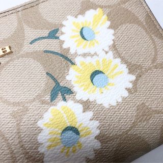 COACH - 【新品】COACH レディース 長財布 デイジープリント