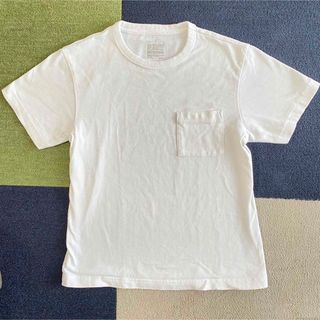 ムジルシリョウヒン(MUJI (無印良品))の【美品】無印良品 クルーネック半袖Tシャツ レディース白 M(Tシャツ(半袖/袖なし))