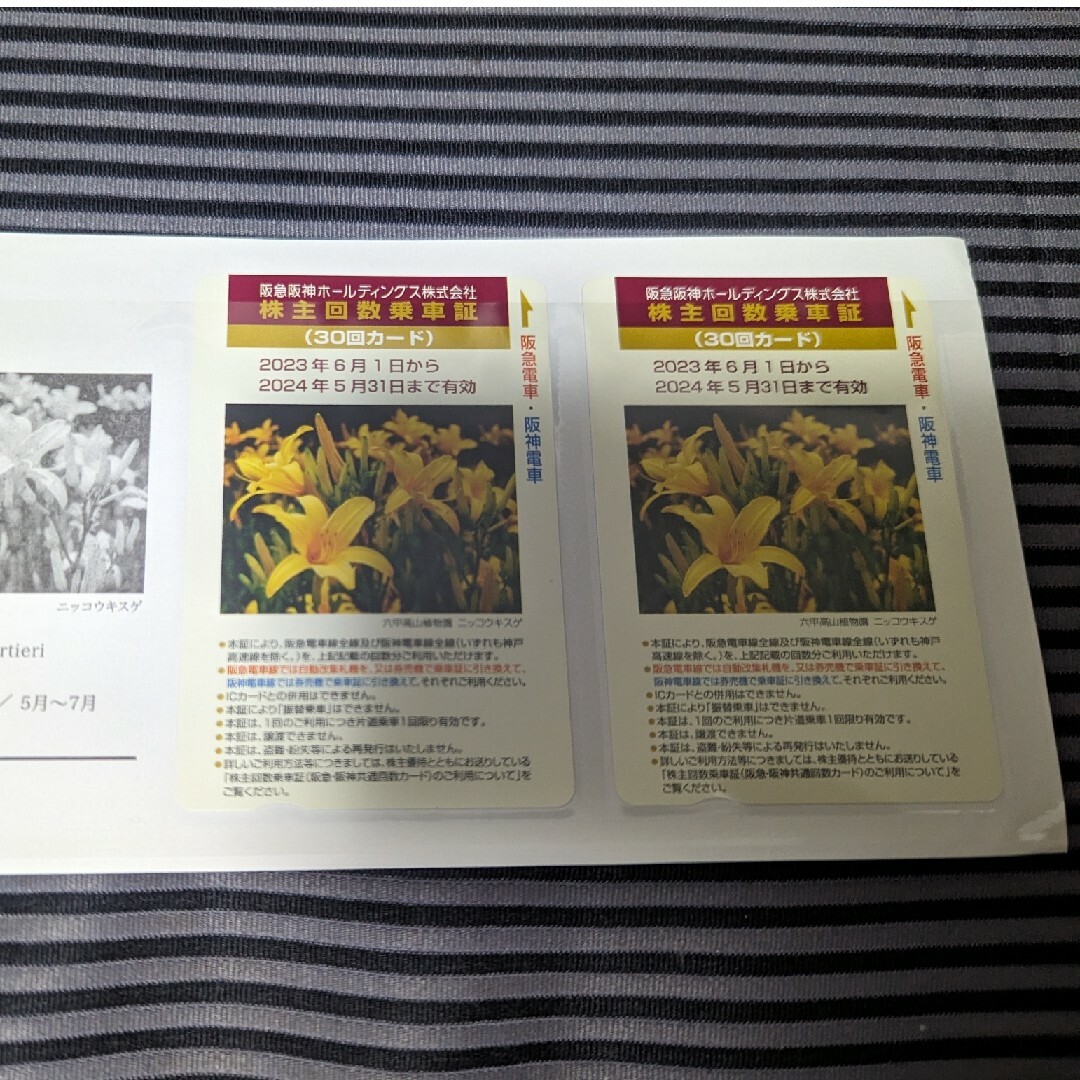 阪急阪神ホールディングス株主回数乗車証 30回カード × 2枚 チケットの乗車券/交通券(鉄道乗車券)の商品写真