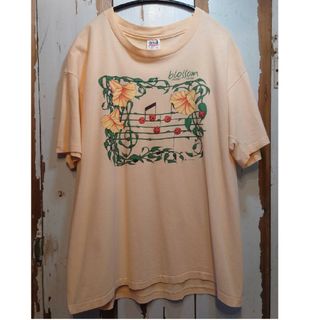 ☆US古着anvil/アメリカ製/1997年/てんとう虫/ヴィンテージ/XL(Tシャツ/カットソー(半袖/袖なし))