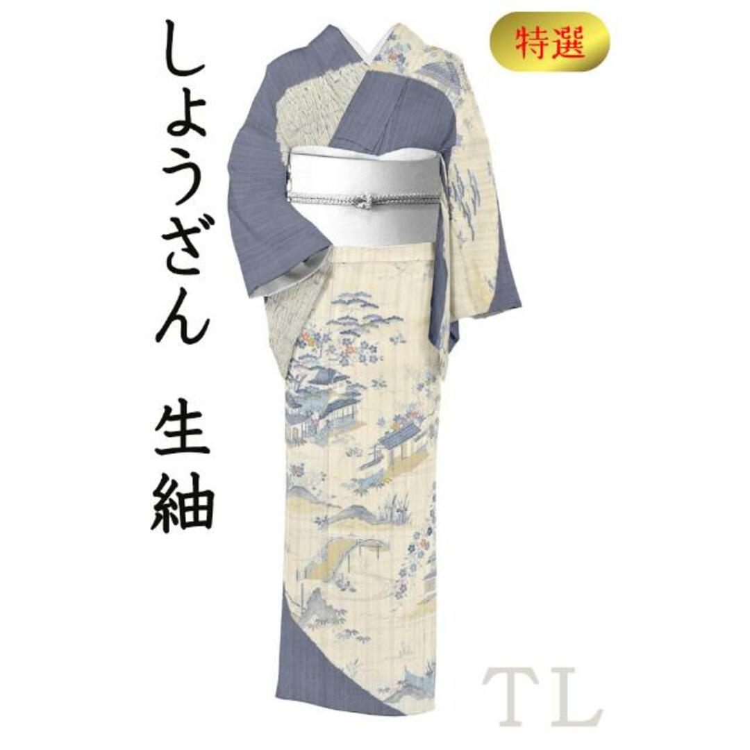 着物だいやす SALE783□生紬□しょうざん 訪問着柄 絞染に友禅 茶屋辻