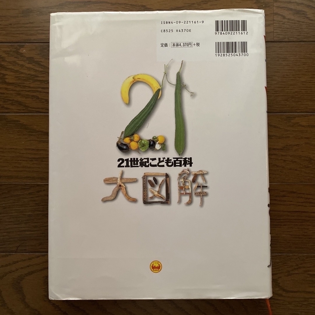 ２１世紀こども百科大図解 改訂