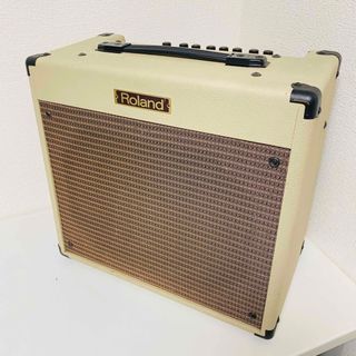 ローランド(Roland)のRoland BC-30 Blues Cube ギターアンプ(ギターアンプ)