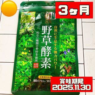 野草酵素 サプリメント 3ヶ月(その他)