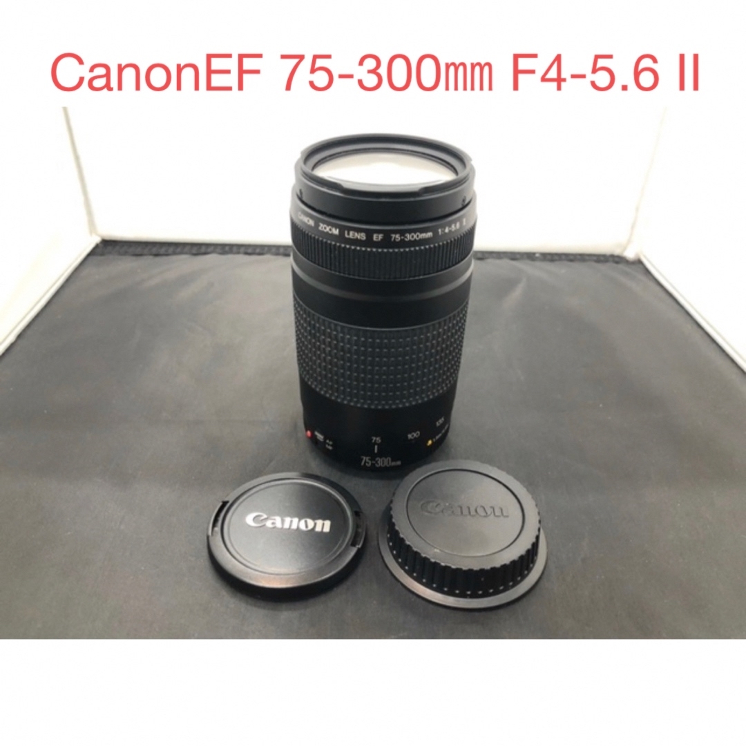 Canon - 動作品キャノン CANON EF 75-300mm F4-5.6 IIの通販 by