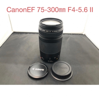 動作品☆キャノン CANON EF 75-300mm F4-5.6 II