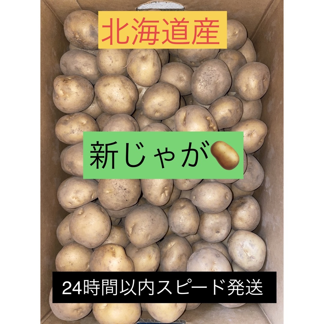 北海道産じゃがいも男爵20kg