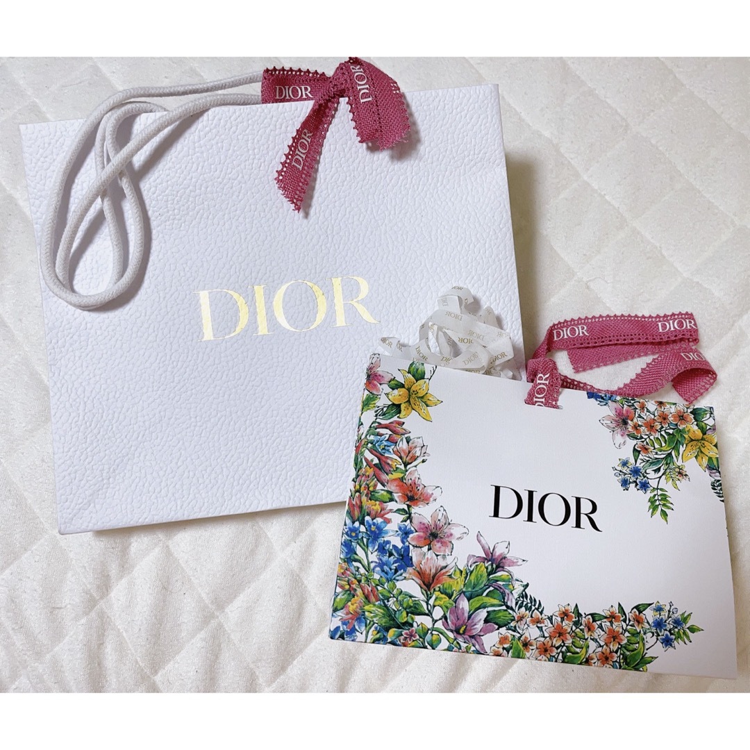Dior(ディオール)のDior ショップバッグ ラッピングバッグ リボン レディースのバッグ(ショップ袋)の商品写真