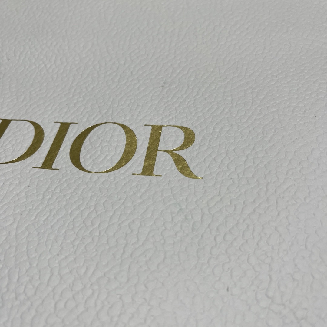 Dior(ディオール)のDior ショップバッグ ラッピングバッグ リボン レディースのバッグ(ショップ袋)の商品写真