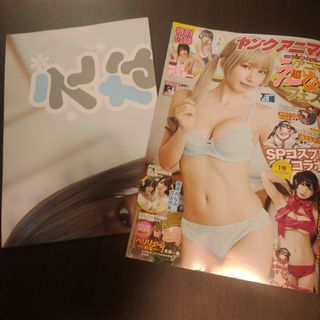 ハクセンシャ(白泉社)のえなこ  BIGポスター付   ヤングアニマル   16号   応募券無(漫画雑誌)