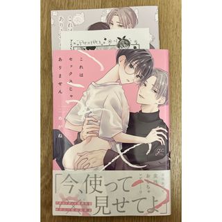 これはセックスじゃありません　特典付(ボーイズラブ(BL))