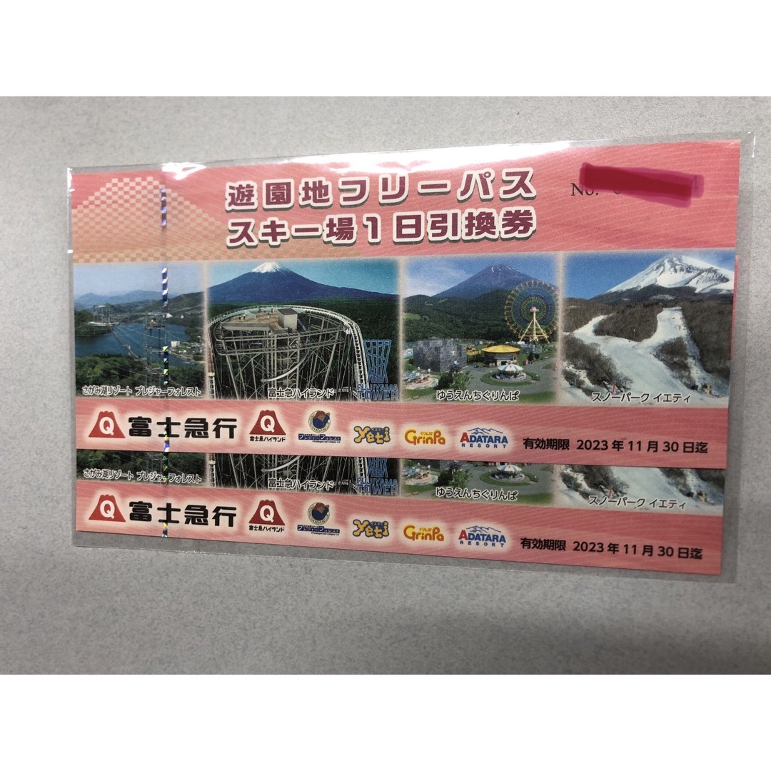 富士急ハイランド　他　フリーパス　2枚セット チケットの施設利用券(遊園地/テーマパーク)の商品写真