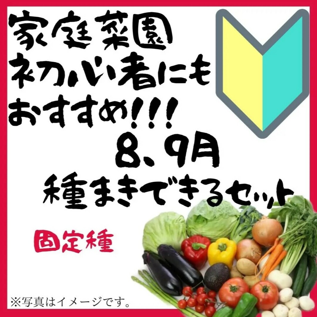 23年度　初心者でも簡単！8月~9月にまける野菜の種　7種類セット　固定種 その他のその他(その他)の商品写真