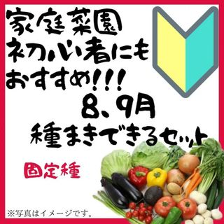 23年度　初心者でも簡単！8月~9月にまける野菜の種　7種類セット　固定種(その他)