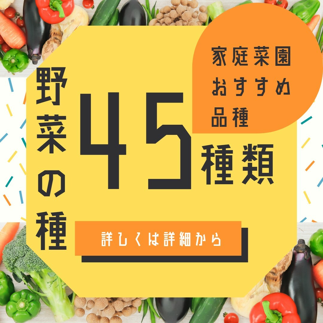 野菜の種　全45種類！1年中蒔ける　オールシーズン　超バリエーションセット固定種 食品/飲料/酒の食品(野菜)の商品写真